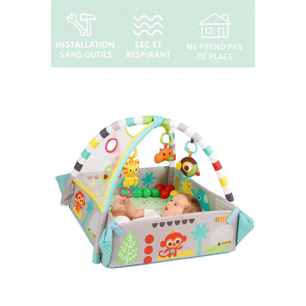 Tapis bébé 5-en-1 avec arche musicale, mini piscine à balles et design coloré, idéal pour l'éveil et le jeu.